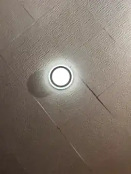 Evelin199 online show from 03-09-26, 03:59