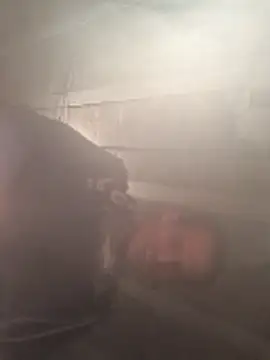 polo48725 online show from 04-15-26, 06:56