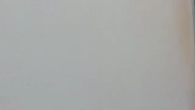 Missy 22  online show from 04-15-26, 01:37