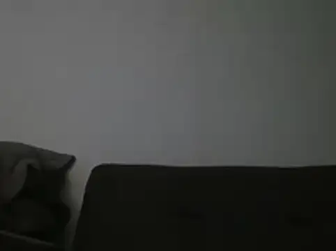 Snapshot of RAFAELQUINTEROSCAVALHEI chatting on 07-21-26, 10:22 RAFAELQUINTEROSCAVALHEI online show from 07-21-26, 10:22