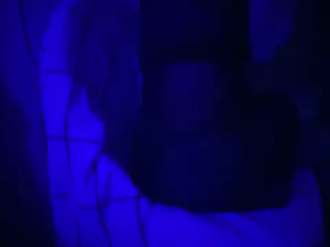 WarmSound online show from 01-15-26, 06:39