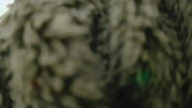 Masui online show from 02-08-26, 07:50