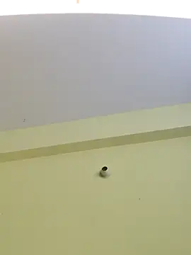 trinasa online show from 04-08-26, 07:48