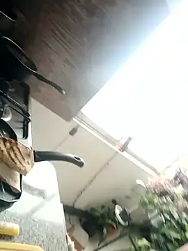 EcoDePiel online show from 01-10-26, 03:51