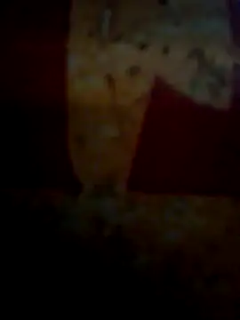 CockForPussy1508 online show from 02-10-26, 06:45