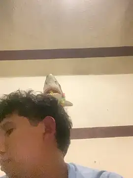 luis-pipo online show from 01-12-26, 07:59