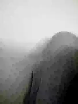 Scook Gray  online show from 04-08-26, 06:09