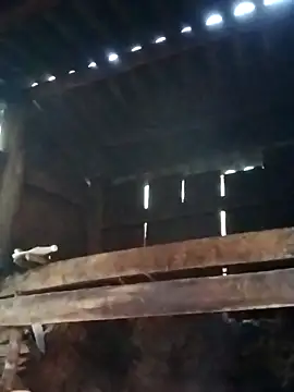 miray- online show from 03-13-26, 10:31