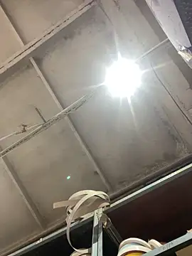 Dildogang online show from 02-26-26, 03:50