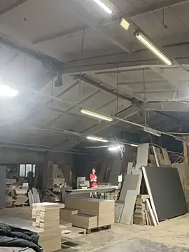 Dildogang online show from 03-01-26, 02:00