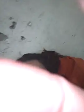 PatriciaGrajales online show from 03-01-26, 02:50