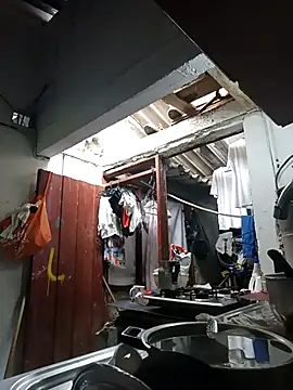 PatriciaGrajales online show from 03-15-26, 04:03