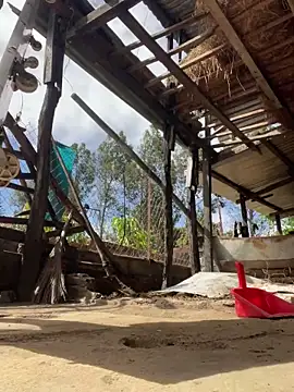 Ginny 2x online show from 02-09-26, 02:53