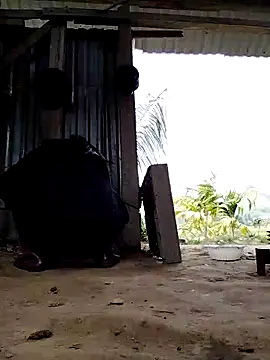 Ginny 2x online show from 03-16-26, 04:09