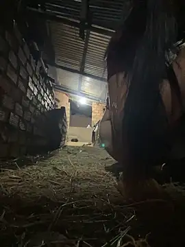 Ginny 2x online show from 02-25-26, 02:06