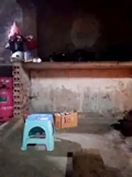 cdyyds-69 online show from 01-15-26, 11:08