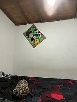 ehc1312 online show from 01-10-26, 09:04