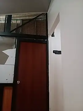 Dante Knox online show from 07-11-26, 11:54