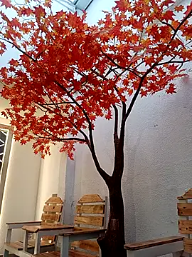 Dante Knox online show from 03-22-26, 11:23