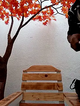 Dante Knox online show from 02-15-26, 11:53