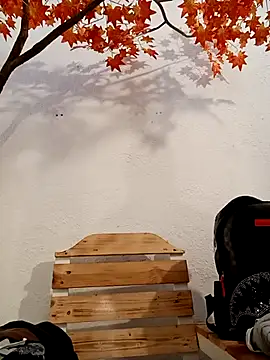 Dante Knox online show from 03-16-26, 11:14