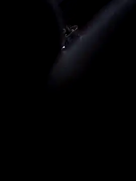 Boy4youuu online show from 01-13-26, 09:19