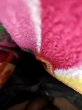 Snapshot of kulwantj chatting on 01-11-26, 04:52 kulwantj online show from 01-11-26, 04:52