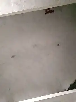 Snapshot of Mafiya0102 chatting on 01-16-26, 05:50 Mafiya0102 online show from 01-16-26, 05:50