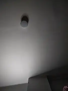 Aleja 1426 online show from 03-07-26, 09:20