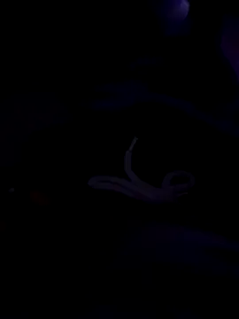 80julien online show from 02-13-26, 02:28