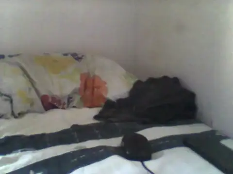 Snapshot of handsomeguy02 chatting on 04-14-26, 02:44 handsomeguy02 online show from 04-14-26, 02:44