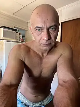 dogfrota online show from 02-04-26, 03:07