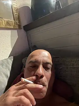 dogfrota online show from 01-11-26, 07:04