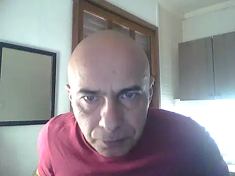 dogfrota online show from 05-29-26, 06:14