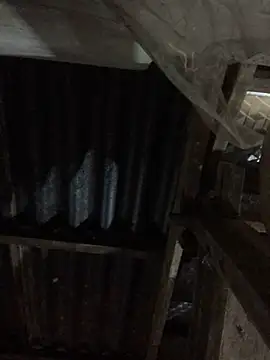 sun-shii online show from 03-30-26, 10:55