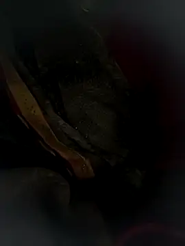 Snapshot of Hot_bh64 chatting on 03-24-26, 03:56 Hot bh64 online show from 03-24-26, 03:56