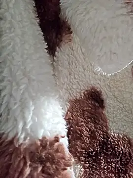 Snapshot of Virgin_Pussy_SquirtX chatting on 01-15-26, 07:34 Virgin Pussy SquirtX online show from 01-15-26, 07:34