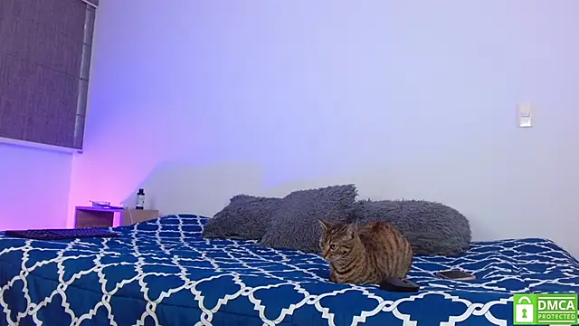 Noyrx online show from 02-16-26, 06:06