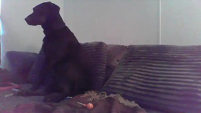 Snapshot of HungandHynotic chatting on 03-03-26, 01:01 HungandHynotic online show from 03-03-26, 01:01