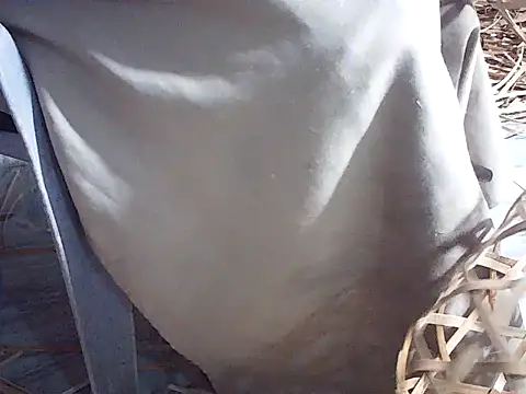 Snapshot of Futar8388 chatting on 01-13-26, 12:20 Futar8388 online show from 01-13-26, 12:20