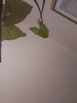 NickoHetero online show from 01-13-26, 02:10