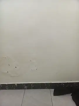 Snapshot of PatriciaVen chatting on 02-03-26, 06:22 PatriciaVen online show from 02-03-26, 06:22