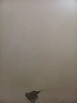 Snapshot of PatriciaVen chatting on 02-05-26, 05:36 PatriciaVen online show from 02-05-26, 05:36