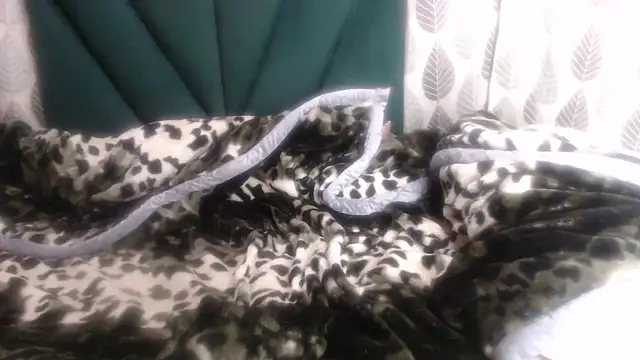 Nellybba online show from 03-08-26, 04:21