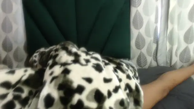 Nellybba online show from 03-27-26, 05:49