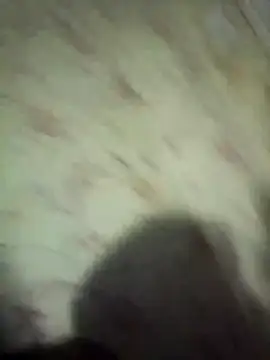 NysiOlsen online show from 02-15-26, 09:14