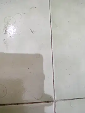 Snapshot of TamilBoy3007 chatting on 02-06-26, 07:32 TamilBoy3007 online show from 02-06-26, 07:32