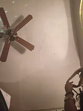 dianagonewild online show from 03-21-26, 04:46