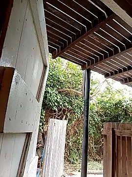 dicklife3485 online show from 02-24-26, 08:26