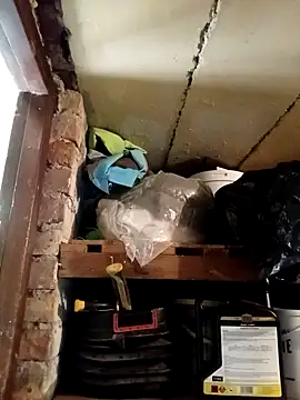 dicklife3485 online show from 03-02-26, 09:16